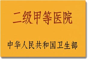 中华人民共和国卫生部二级甲等医院