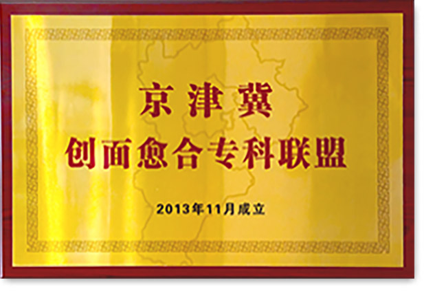 京津冀创面愈合专科联盟